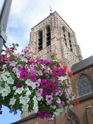 Bestand:Mol.jpg