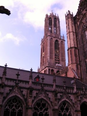 IMG 1010.jpg